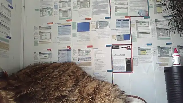 BunnyYT online show from 03/08/26, 04:21