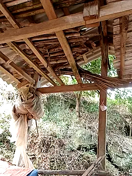 elen8800 online show from 04/14/26, 04:06