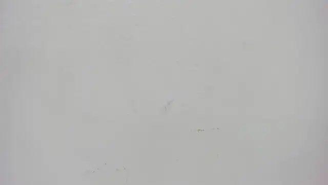 ursafrost online show from 05/06/26, 03:43