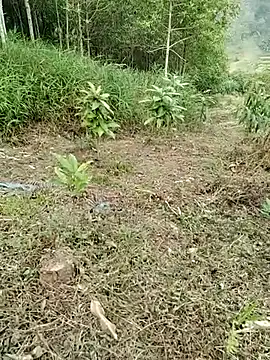 01 ANNA 01 online show from 03/27/26, 09:32