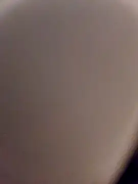 Snapshot of skynct2007 chatting on 02/24/26, 05:41 skynct2007 online show from 02/24/26, 05:41