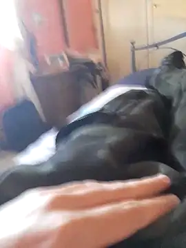 ilcazzone32 online show from 04/19/26, 02:07