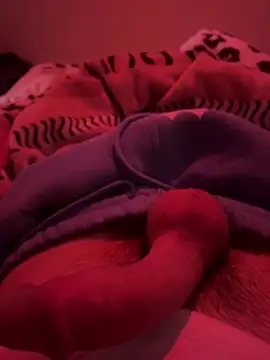 689Nika online show from 03/13/26, 07:57