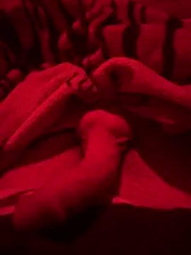 689Nika online show from 03/25/26, 07:02