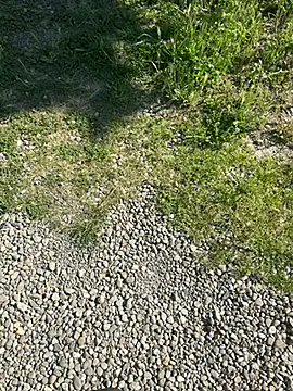 biakalifa69 online show from 05/24/26, 06:46