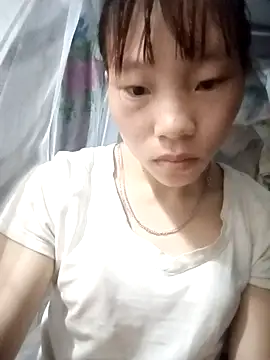 pic8800 online show from 05/06/26, 10:36