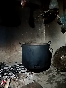 pic8800 online show from 03/31/26, 07:10