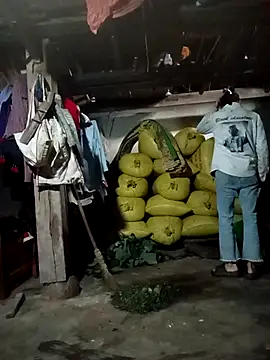 pic8800 online show from 04/03/26, 01:56