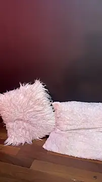   CELESTE   online show from 03/10/26, 07:56