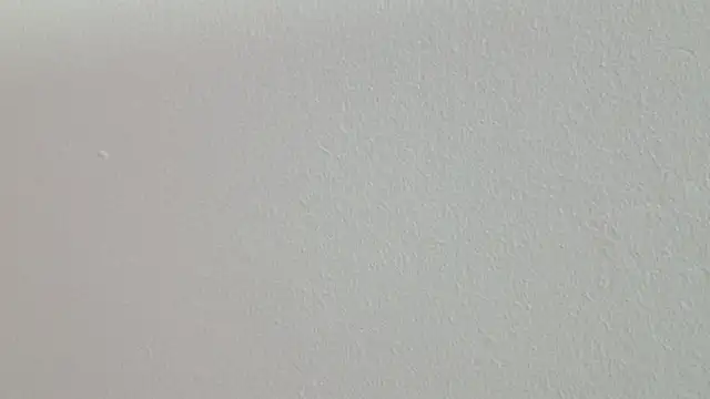 Snapshot of Mandy_boobs99 chatting on 03/13/26, 08:03 Mandy boobs99 online show from 03/13/26, 08:03