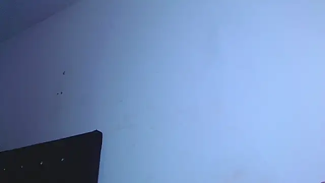 zahoritsx online show from 06/17/26, 05:51