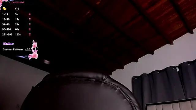 zafiro ziz online show from 04/11/26, 01:04