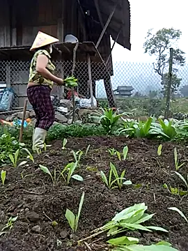 Heylen hooo online show from 03/12/26, 10:41