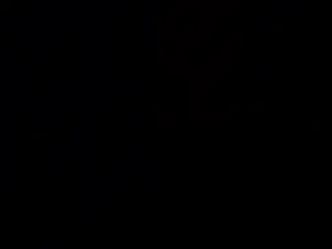 Nutty2in1 online show from 02/28/26, 06:57