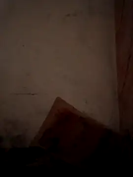 CoralN online show from 04/01/26, 03:52