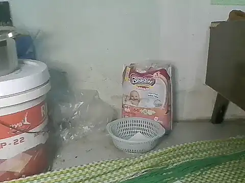 Fish sexy online show from 03/28/26, 09:10