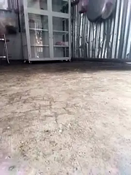 Malisa-aa online show from 03/11/26, 12:04