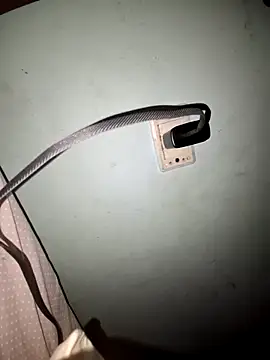 Snapshot of wolf297 chatting on 02/28/26, 11:43 wolf297 online show from 02/28/26, 11:43