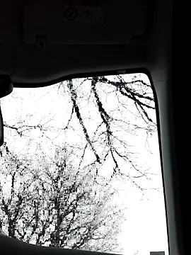 lui8181 online show from 03/11/26, 05:40