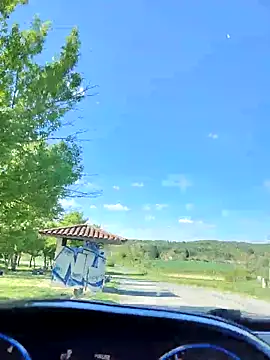 lui8181 online show from 04/15/26, 02:43