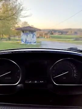 lui8181 online show from 03/23/26, 05:46