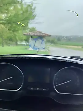 lui8181 online show from 04/12/26, 03:15