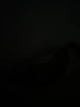 noorqwertz online show from 05/08/26, 04:55