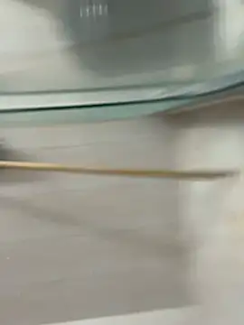 David-latinlover online show from 03/29/26, 10:44