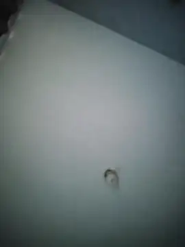 misteriosocam40 online show from 04/09/26, 05:41