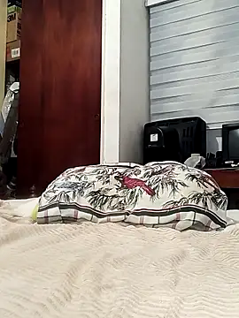 Snapshot of davidalejandrocastillo chatting on 02/27/26, 06:35 davidalejandrocastillo online show from 02/27/26, 06:35