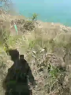 mariaplaya online show from 04/08/26, 09:55