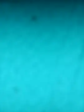 scarlett leex  online show from 04/12/26, 08:28