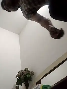 Rocky boy4 online show from 03/18/26, 06:20