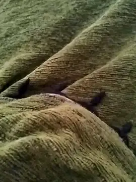 detasuta online show from 03/07/26, 03:46