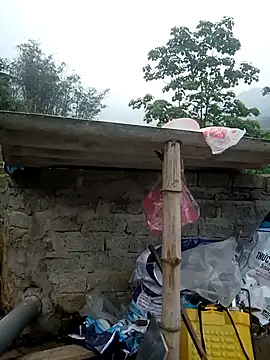 dualeo11 online show from 03/27/26, 01:47