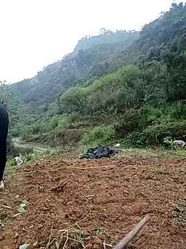 dualeo11 online show from 03/12/26, 06:17