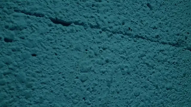 Snapshot of LYNN_N_SAMUEL chatting on 04/13/26, 11:09 LYNN N SAMUEL online show from 04/13/26, 11:09