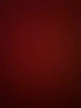 BeeMay22 online show from 03/29/26, 08:10