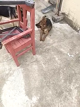 mylove202022 online show from 03/15/26, 02:07