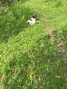 Zoe Luxxe  online show from 03/23/26, 08:30