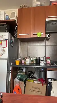 javieritr4 online show from 04/29/26, 05:30