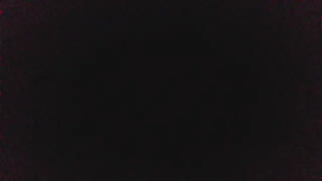 pinkycat online show from 04/08/26, 06:09