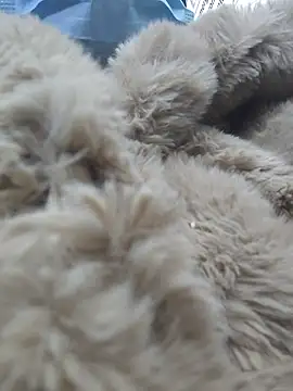 Naomimolie online show from 04/15/26, 11:27