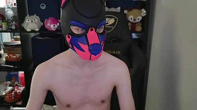 MellPUP online show from 04/28/26, 06:12