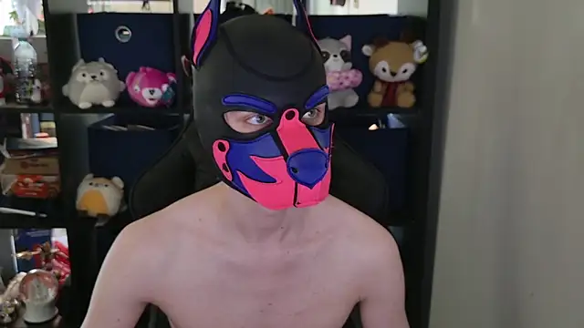 MellPUP online show from 04/30/26, 06:04