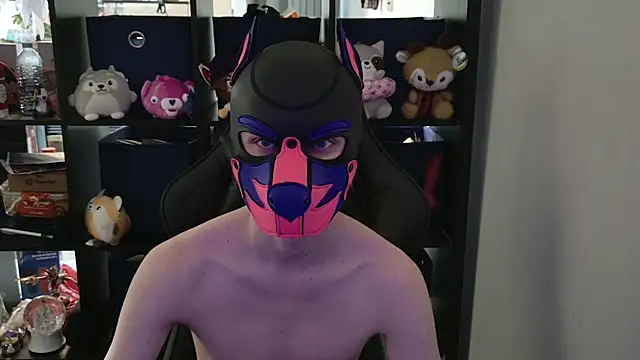 MellPUP online show from 04/29/26, 06:25