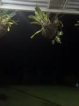 isabella ferrer99 online show from 03/08/26, 05:44