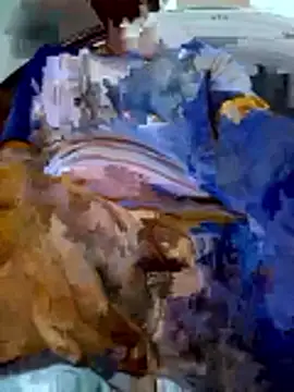 PgL 43 online show from 03/03/26, 11:17