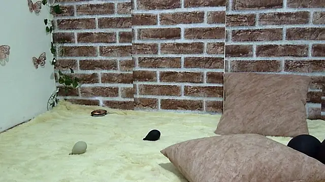 Katia Cutte online show from 03/15/26, 09:44