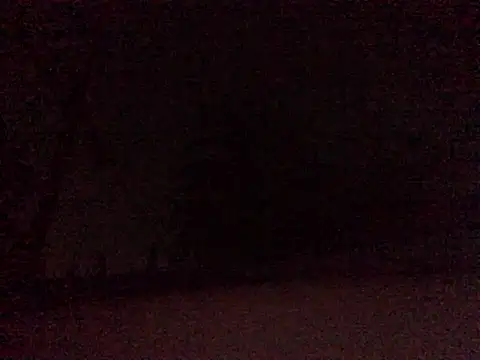 Snapshot of Donkie909 chatting on 04/09/26, 06:52 Donkie909 online show from 04/09/26, 06:52